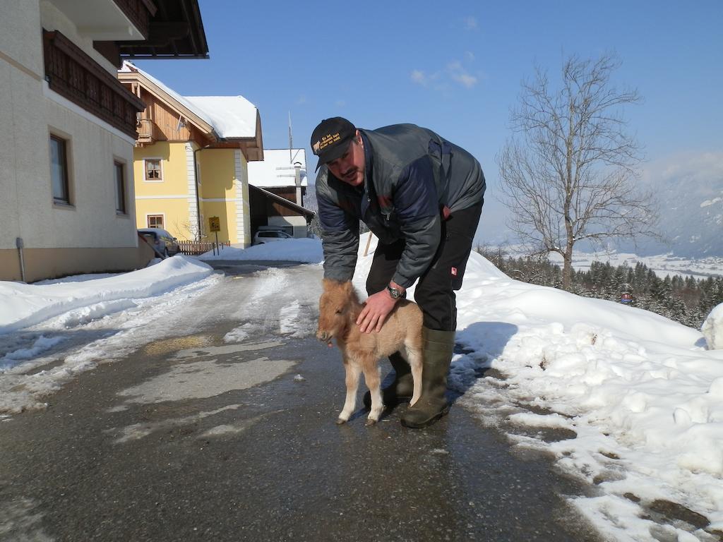 Kollerhof Apartman Schlanitzen Kültér fotó